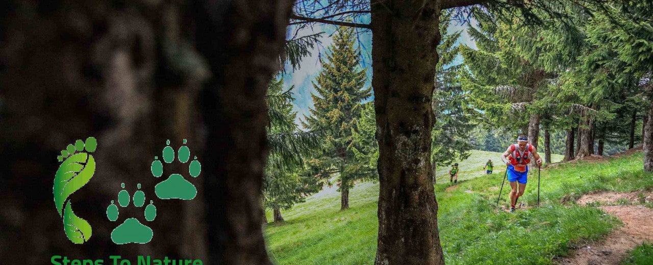 Association Robin des Montagnes