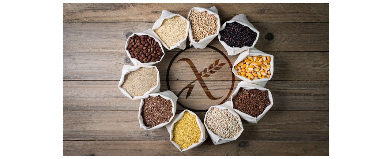 GLUTEN & SPORT