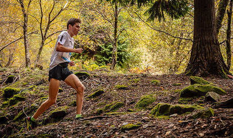 Préparer un marathon : le guide complet
